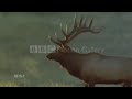 teledysk, klip, Clannad,- Theme From Harry's Game