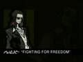 videos de Face the Noise (2/2)