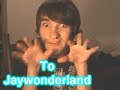 A song for Jaywonderland Owl city- Rainbow veins