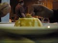 Panna cotta Panna cotta