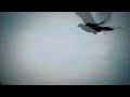 YouTubeサムネイル[DfzP_E_C9rQ] - 3枚目