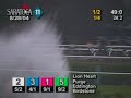 2004 Travers - Birdstone