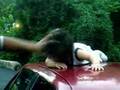 baby-dancing