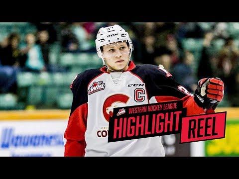 2017-18 HIGHLIGHT REEL | Dennis Cholowski