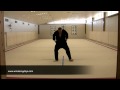 Chi Gung- Eight Pieces of Brocade- Punching Through with Eyes of Anger 7