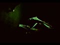 The-Capoeira-Arts-Ca