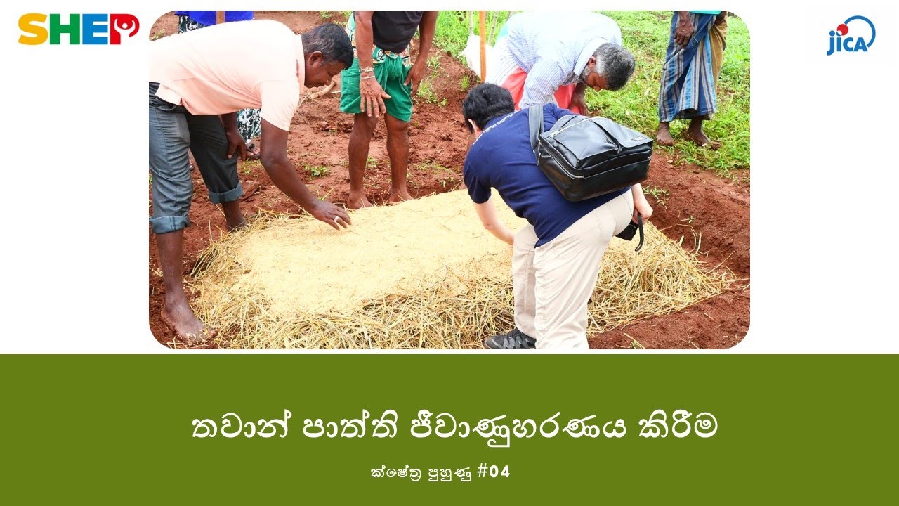 තවාන් පාත්ති ජීවාණුහරණය කිරීම​ - ක්ෂේත්‍ර පුහුණු #04