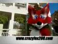 Crazy Fox Tells You About the Greatest Pyramid Scheme Ever