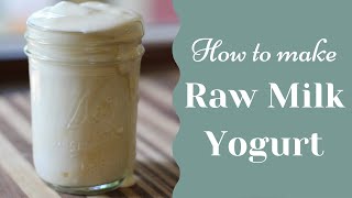 How to make Raw Milk Yogurt  Yogurt with No Yogurt