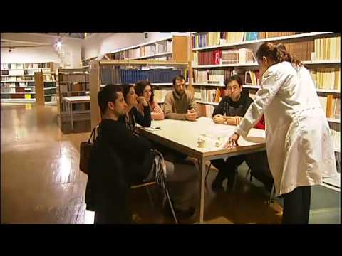 Tanit didàctica i difusió cultural - Tanit didàctica i difusió cultural -