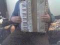 Lill Stina Waltz - Accordion
