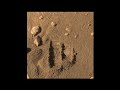 jpl phoenix lander shorts 2