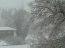 SNOWING IN SALT LAKE SNOWING IN SALT LAKE
