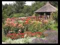 Botanischer Garten Augsburg-ein Reisetip für den nächsten Urlaub im Süden :)