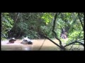 EL CANTO DEL CHICUACO