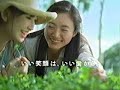 仲間由紀恵