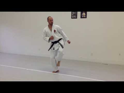how to side snap kick