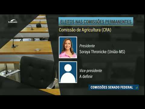 Saiba como ficou o quadro de presidentes das comissões do Senado