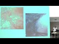 Click to View : Artérite à Cellules Géantes (Horton) - Mécanismes + traitements - Pr. Bonnotte - Octobre 2017