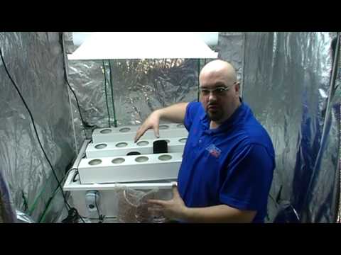 how to grow aeroponics
