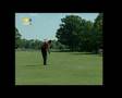 Tiger shanks!