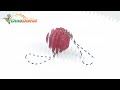 Delicious Waxberry Fruit Miniature Food Cell Phone Charm Strap - dinodirect