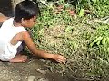 Tristan01