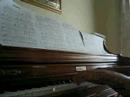 Hundred Cover