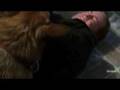NCIS - Dog Tags - Intro