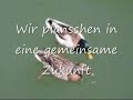 Vom Ei zum Erpel Vom Ei zum Erpel
