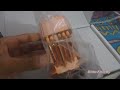 Thermalright Ultra-120 Extreme Copper Edition (HD)
