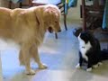Gabriel & Stanley--Original Version - free flv video @ vwatch.tv