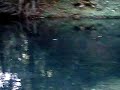 Australia Skinny dipping spot Cape Tribulation