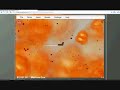 interactive buddy 2