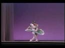 Nina Ananiashvili dances Raymonda (vaimusic.com)