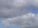 patrouille corsair hellcat patrouille corsair hellcat