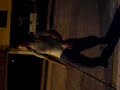 Ricky el balarin