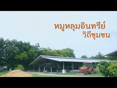 รายการเกษตรสาร ประจำวันที่ 22 ตุลาคม 2565