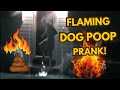 View Video