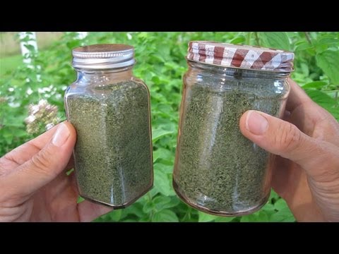 how to harvest italian oregano