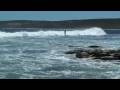 videos de blom vacation