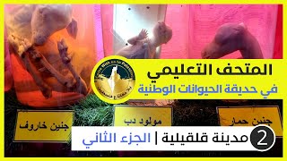 المتحف التعليمي | حديقة الحيوانات الوطنية في قلقيلية | الجزء الثاني