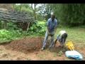 Tomato nursery bed preparation