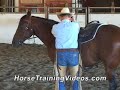Horse Training - Stand Still to Mount