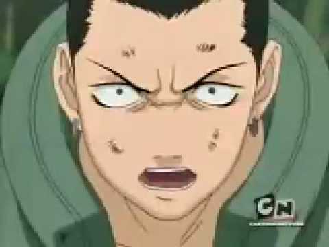 fat temari