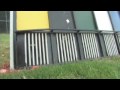 Whippet Racing