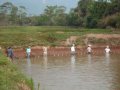 videos de Genios CABP