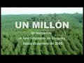 impacto de la forestación en uruguay   parte 1