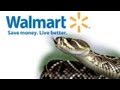 Walmart snake bites medical marijuana shopper