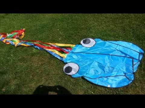 Banggood 4m Octopus Soft Flying Kite with 200m Line and Reel